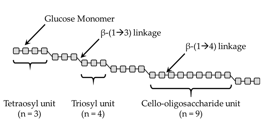 <b>Principaux changements de matériaux au cours de la glycation - décomposition des protéines et du β</b>